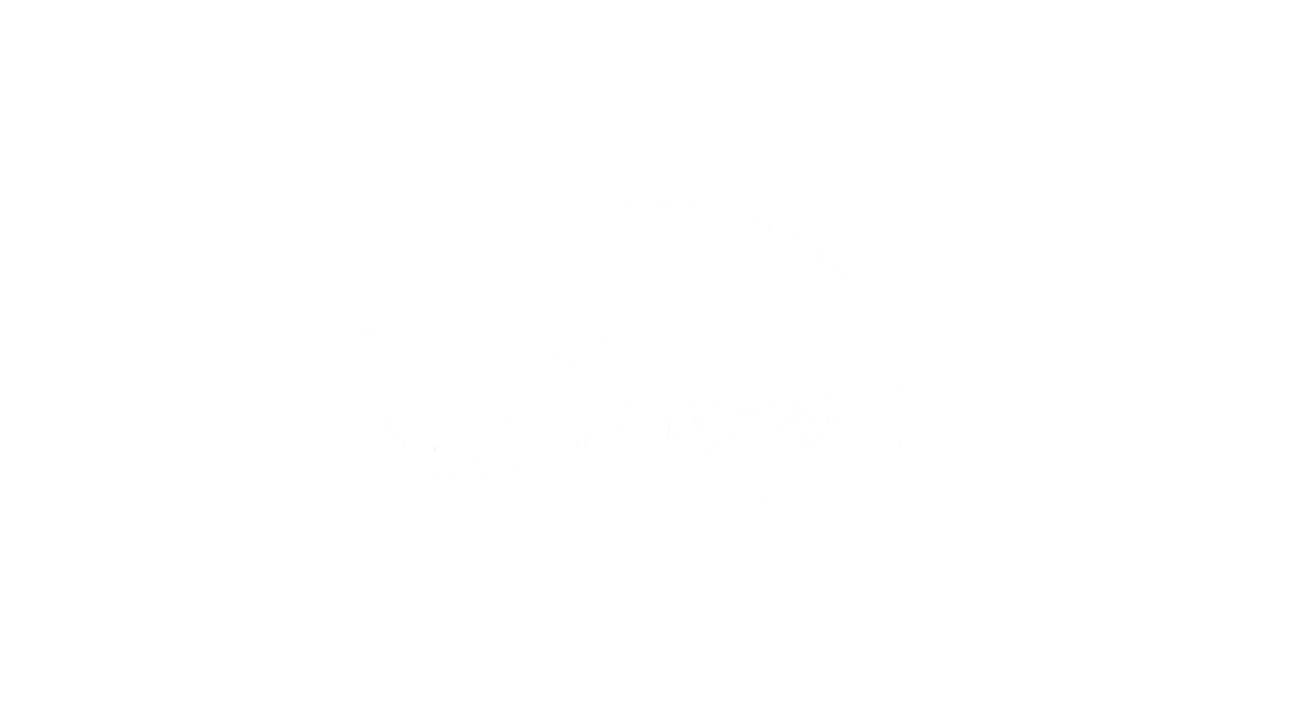 DISNEY +